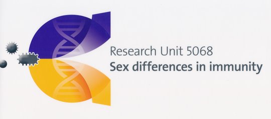 Research Unit 5068 | Sex differences in immunity The picture shows the logo of the sexdifference in immunity research group. It is in the colours purple and yellow and contains cells and microorganisms, as well as a sphere from which two arrows point upwards and downwards