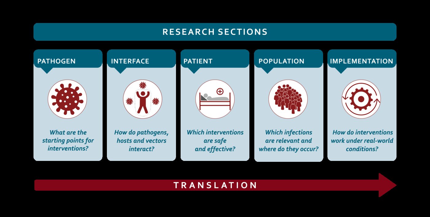 Graphic of the research sections at BNITM