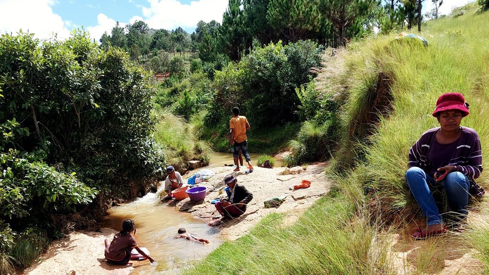 Schistosomiasis wird durch Süßwasserschnecken übertragen.