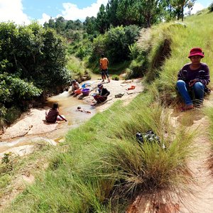 Schistosomiasis wird durch Süßwasserschnecken übertragen.