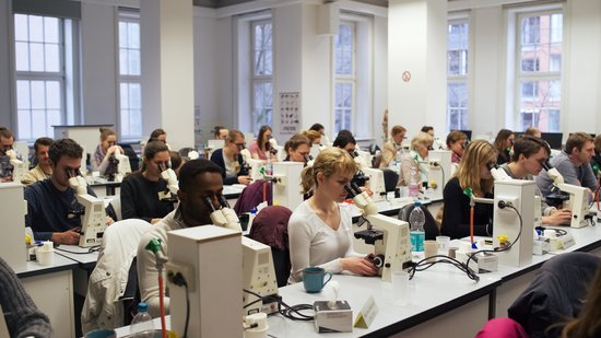 Create capacities Students looking through microscopes