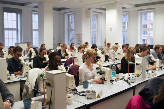 Create capacities Studierende beim Mikroskopieren