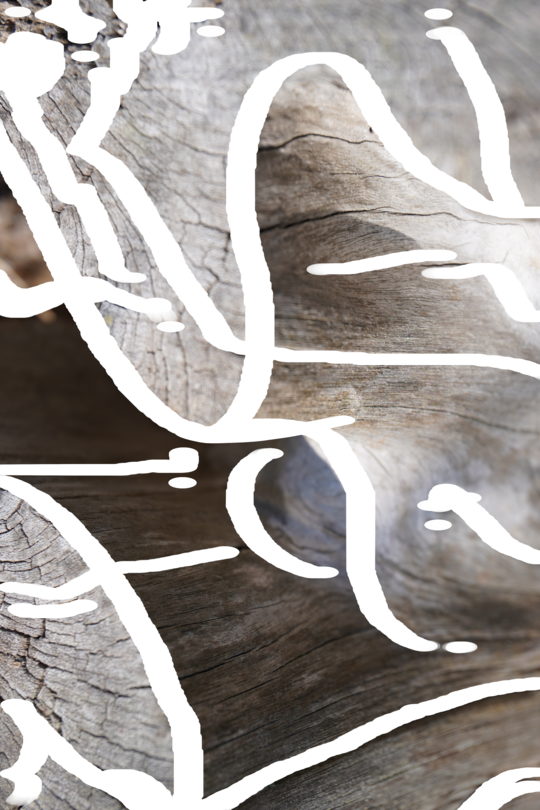 Workshop Composing Coexistence Logo Workshop Composing Coexistence