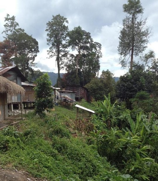 Village in rural Peninsular Malaysia with people living close to fields and agricultural areas. Zu sehen ist ein Dorf auf der ländlichen Halbinsel Malaysias an einem grünen Hang.
