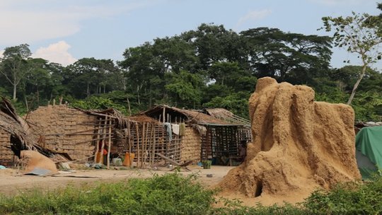 Capacity Building and Seroprevalence study in Republic of Congo, Bomassa. Das Bild zeigt rechts einen Termitenhaufen. Im Hintergrund sind mehrere Hüttem aus Stroh und Holz zu sehen. Dahinter große Bäume.
