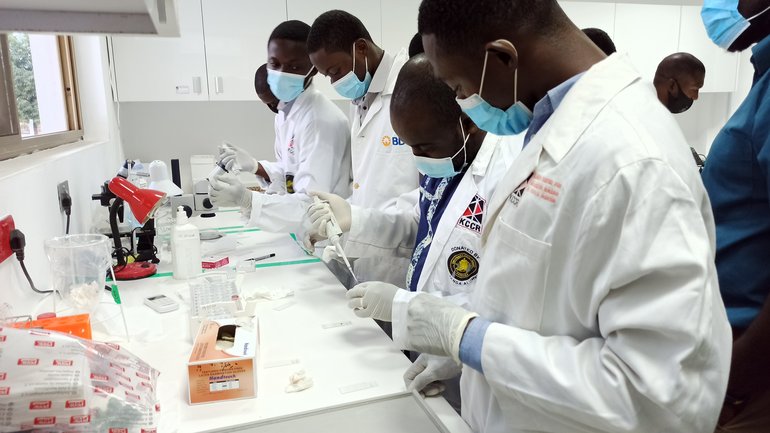 Staff working on lab samples. Vier Männer, die einen Laborkittel, Handschuhe und eine Nasen-Mund-Bedeckung tragen stehen an einem Tisch, auf dem Laborutensilien liegen. Alle arbeiten, einige halten Pipetten, andere bereiten nächste Arbeitsschritte vor.