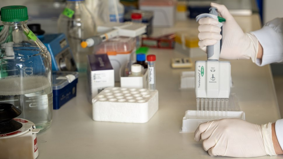 Pipettieren im Labor Das Foto zeigt eine Forscherin im Labor beim Pipettieren.