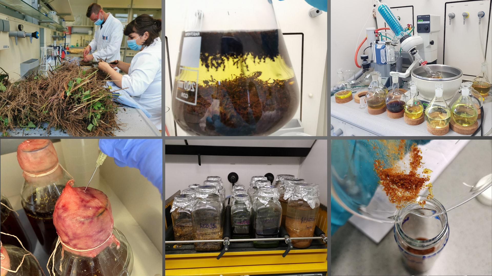 This collage shows extractions procedures and examples of the steadily growing extract library created by Dr. Fabien Schultz. 