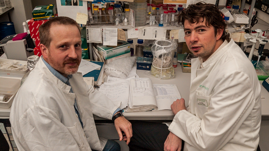 Disovery of SARS-CoV-1 Two men in lab coats are sitting at a desk and look up from sheets they are reading together.