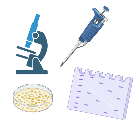 Graphical representation of laboratory utensils x