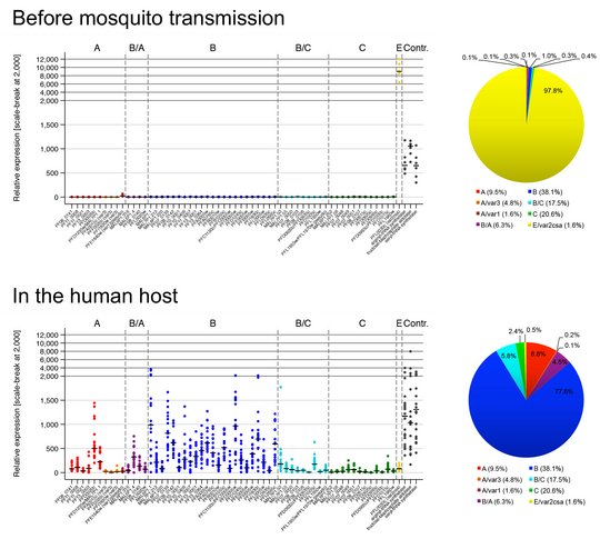 Dot plots and pie charts showing the var gene expression patterns in the pre-mosquito parasites and those obtained from the volunteers. Punkt- und Tortendiagramme zeigen die var-Genexpression in Parasiten vor der Mückenpassage und in den infizierten Probanden.