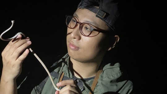Bao Truong during a herping tour with a speckle-headed whipsnake (Ahaetulla fasciolata) in Kuching, Borneo, Malaysia. The picture shows a man holding and looking at a thin snake. The snake looks into the camera.