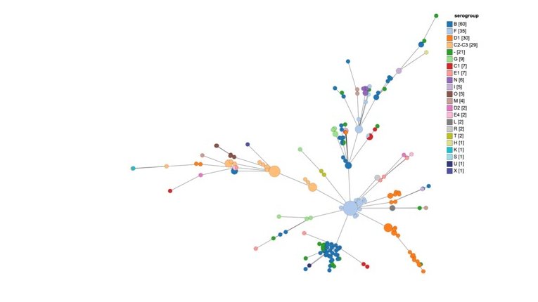 "Minimum spanning tree" einer bakteriellen Probe Zu sehen ist ein sogenannter "minimum spanning Tree" einer bakterillen Probe. Mehrere unterschiedlich große und farbige Kreise erstrecken sich zu einem chemenhaften Baum, die mit einzelnen Strichen verbunden sind. An der Seite ist eine Legende mit der Überschrift seroproup, derunter sind die unterschiedlichen Farben mit ihrer Bezeichnung aufgelistet.