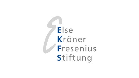 EKFS logo