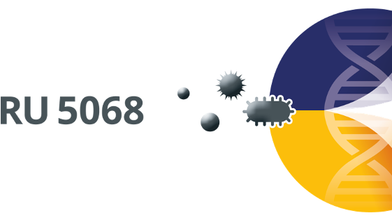 Blue-yellow logo of the Research Unit 5068 | Sex differences in immunity