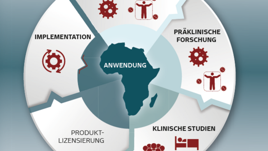 Die Entwicklung von Medikamenten und Impfungen Grafik Arbeitsberich des BNITM