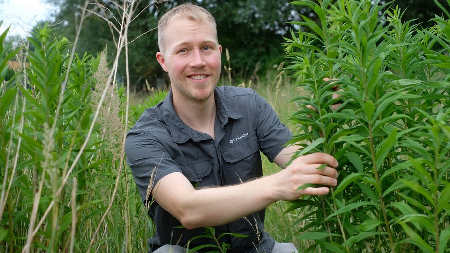 Dr. Fabien Schultz Foto eines hockenden jungen blonden Forschers im blauen T-Shirt, der gerade eine Pflanze erntet und freundlich in die Kamera blickt.