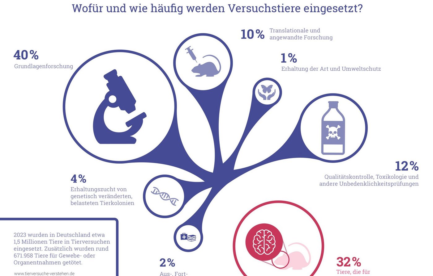 The graphic illustrates the necessity of animal experiments by means of a purple tree. There are 5 branches in total: starting at the bottom left with a schematic picture of a virus in blue, with the text Researching diseases and improving treatment. Above this is the testing of active substances for safety, with the picture of two tablets and a test tube. In the top centre, the protection of humans and animals, with the symbol of two opening hands from which a butterfly flies off. On the right, by means of a skeleton of the torso, the exploration of bodily functions is mentioned. At the bottom right, the fifth point is education and training, represented by books and a doctor's case.