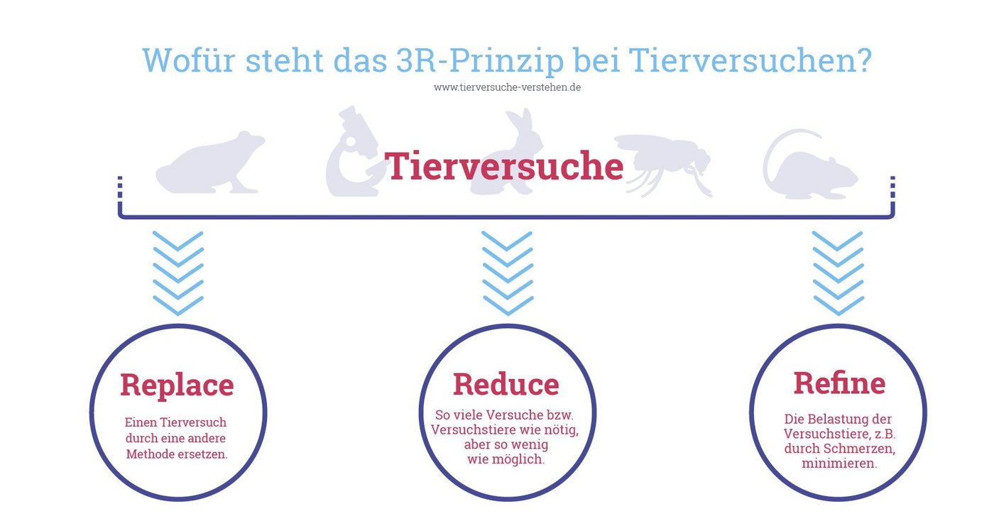 Eine Grafik, die das 3R-Prinzip veranschauchlicht: Replace, Reduce, Refine.