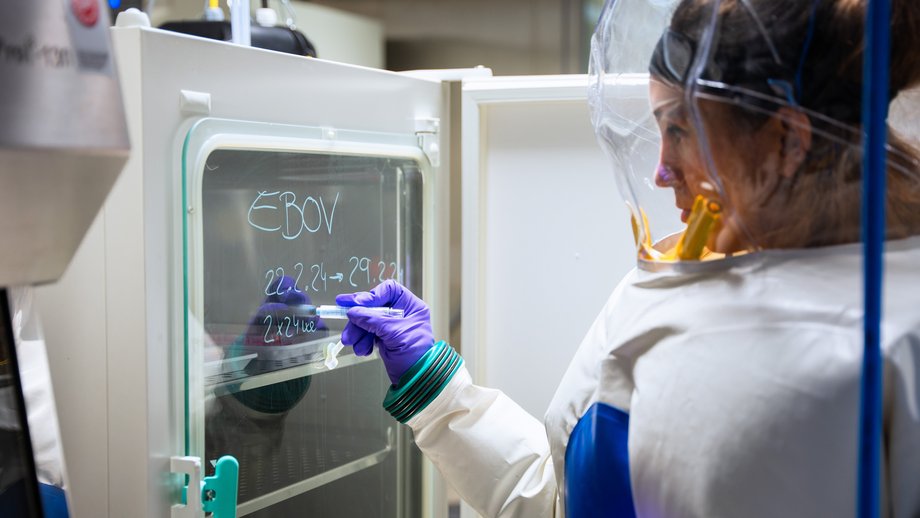 A researcher in a level 4 suit stands in front of an incubator in a high security laboratory.