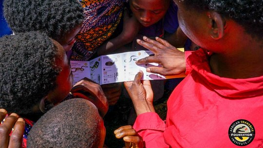 Children looking at flyers of snakes and how to identify them
