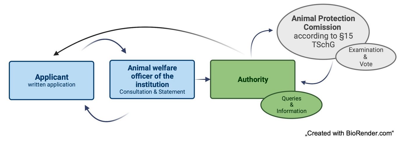 There is a diagram of a licensing procedure with the various bodies involved, such as the applicant, the authority, the animal protection commission, the animal protection officer.