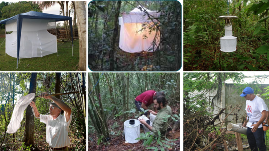 Examples of trapping and collection methods of mosquitoes 6 Bilder, die unterschiedlich Fang- und Sammelmethoden von Stechmücken