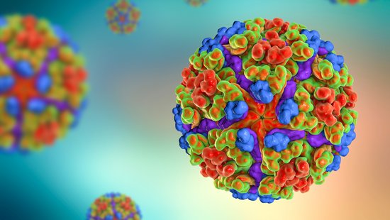 Chikungunya-Viren Bunte Grafik mit rundem Chikungunya-Virus