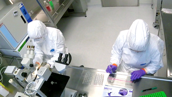 Explain Diseases View from above of researchers working with laboratory equipment in the BSL3 Insectarium