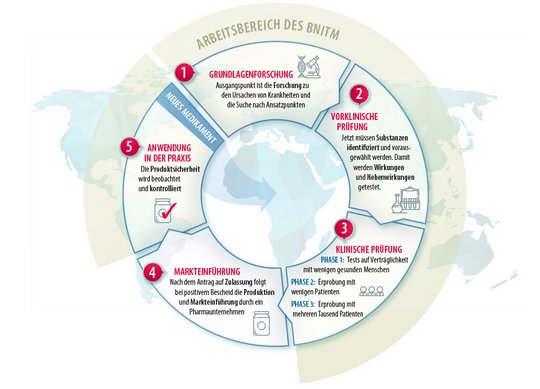 Die Entwicklung von Medikamenten und Impfungen Grafi Arbeitsberich des BNITM