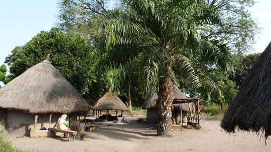 Domestic area with huts in a rural village, Upper Guinea. You can see a domestic area with palm trees and huts