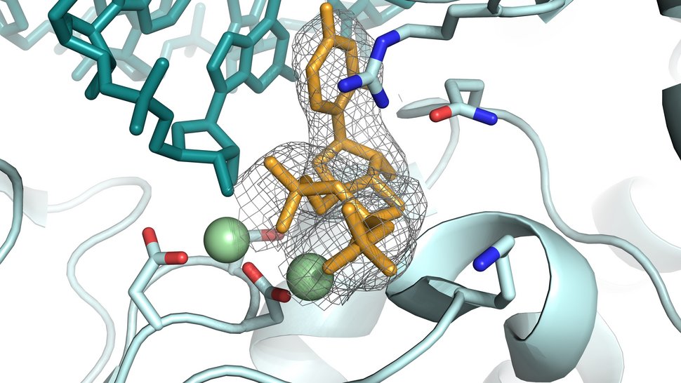 Hochdetaiilierte Einblicke in die Bindung von potenziellen Wirkstoffen an virale Proteine Bunte Grafik "Hochdetaiilierte Einblicke in die Bindung von potenziellen Wirkstoffen an virale Proteine"