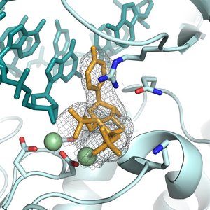 Hochdetaiilierte Einblicke in die Bindung von potenziellen Wirkstoffen an virale Proteine Bunte Grafik "Hochdetaiilierte Einblicke in die Bindung von potenziellen Wirkstoffen an virale Proteine"
