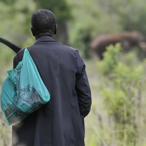 Einer der kenianischen Experten Das Foto zeigt einen kenianischen Ranger von hinten. In der Ferne einige Elefanten.