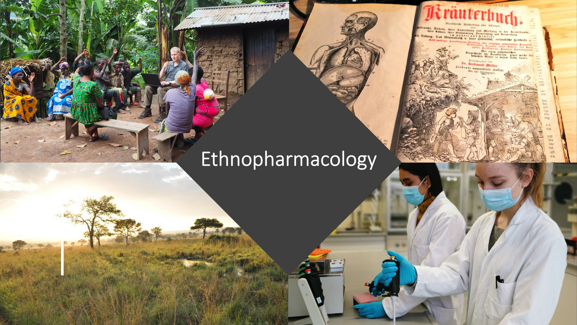 A visual collage depicting the diverse elements of  ethnopharmacology