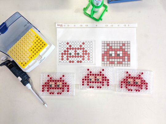 Pipettierübung Jugendzukunftstag Ein Foto von drei 96-well-Platten, in denen ein rotes Comicgesicht pipettiert ist. Links liegen eine Pipette und ein Kasten mit Pipettenspitzen. Oben liegt eine Anleitung, in welche Wells der Platte die rote Flüssigkeit pipettiert werden soll.