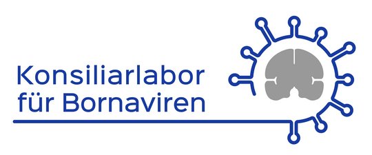 Logo Konsiliarlabor Bornaviren Logo Konsiliarlabor Bornaviren: Im linken Teil des Logos steht in blauer Schrift Konsiliarlabor, in einer zweiten Reihe für Bornaviren. Darunter eine blaue Linie, aus der sich im rechten Teil des Bildes eine Virushülle um die schematische graue Darstellung eines Gehirnes legt.