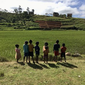 Kinder in Madagaskar Das Foto zeigt eine Gruppe von sieben Kindern auf einem grünen Feld in Madagaskar.