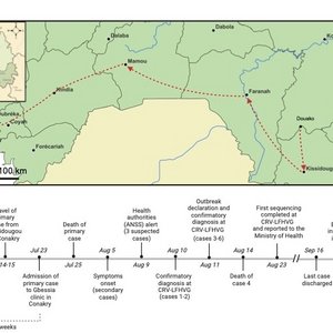 Geografische und zeitliche Timeline Die Abbildung zeigt einen Teil Guineas als Lankarte mit einem eingezeichneten Weg der ersten mit dem Lassafieber infizierten Person. Darunter sind die zeitlichen Ereignisse verzeichnet.