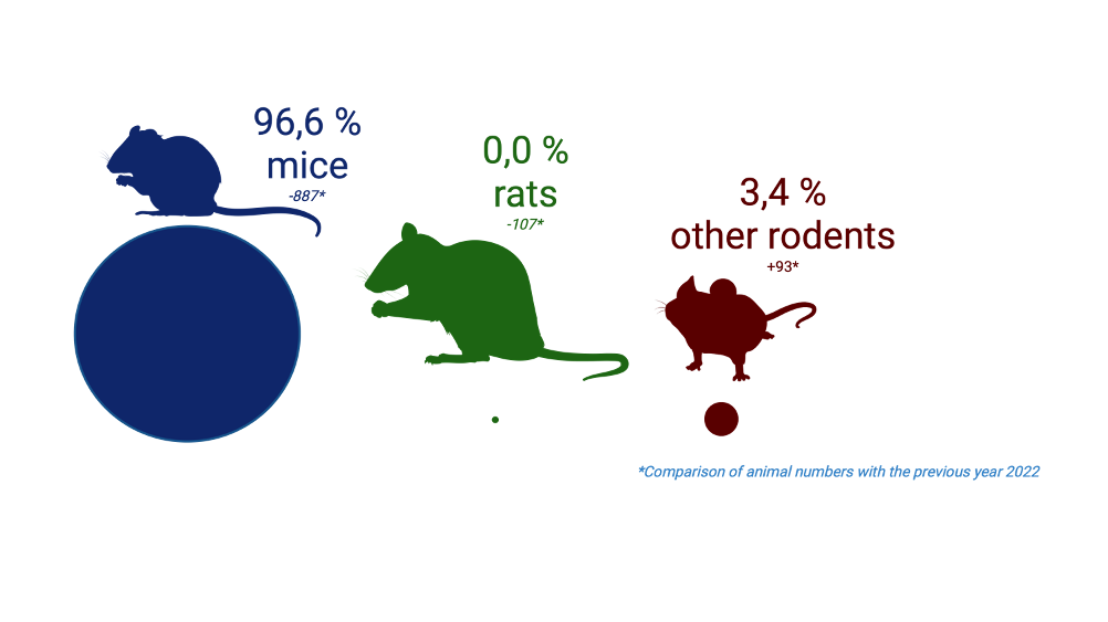 Illustration of the experimental animal groups at BNITM in 2021: 96.6% mice, 0.0% rats, 3.4% other rodents.