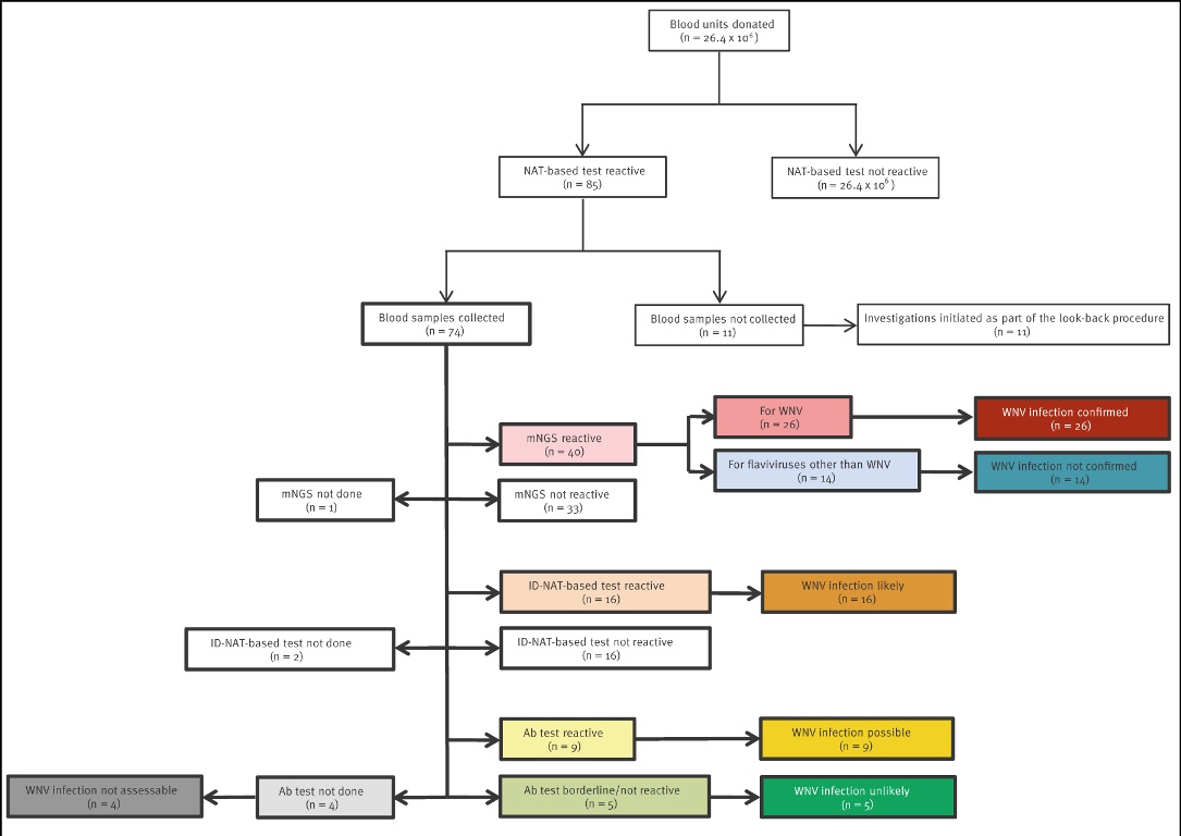 Die farbige Grafik symbolisiert die Bewertung des Zusammenhangs zwischen Blutspenden und West-Nil-Virus-Infektionen bei Blutspendern, Deutschland, 2020–2023 (n = 74).