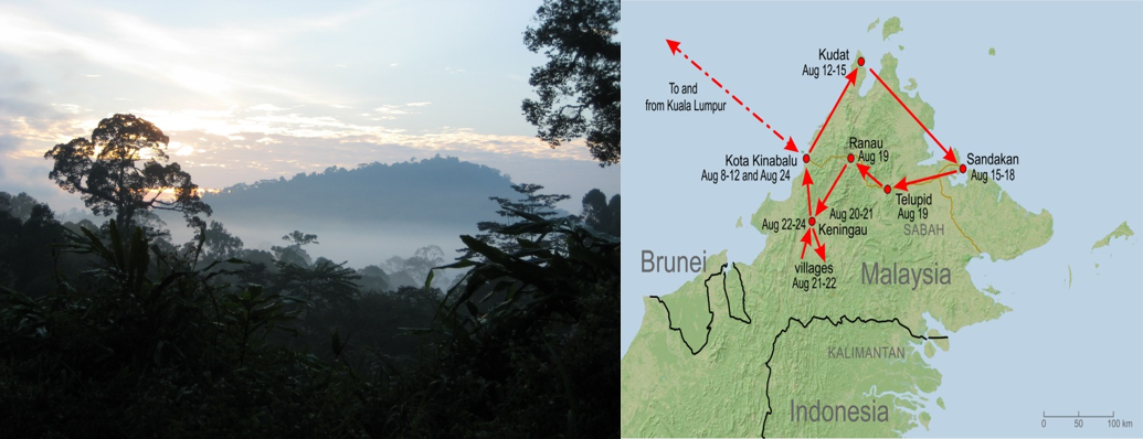 On the left side: a rainsforest during a sunset. On the right: a map with a drawn path that leads through several areas of Malaysia.